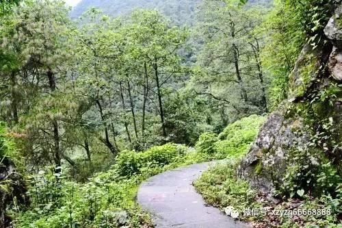 温馨小屋逃离