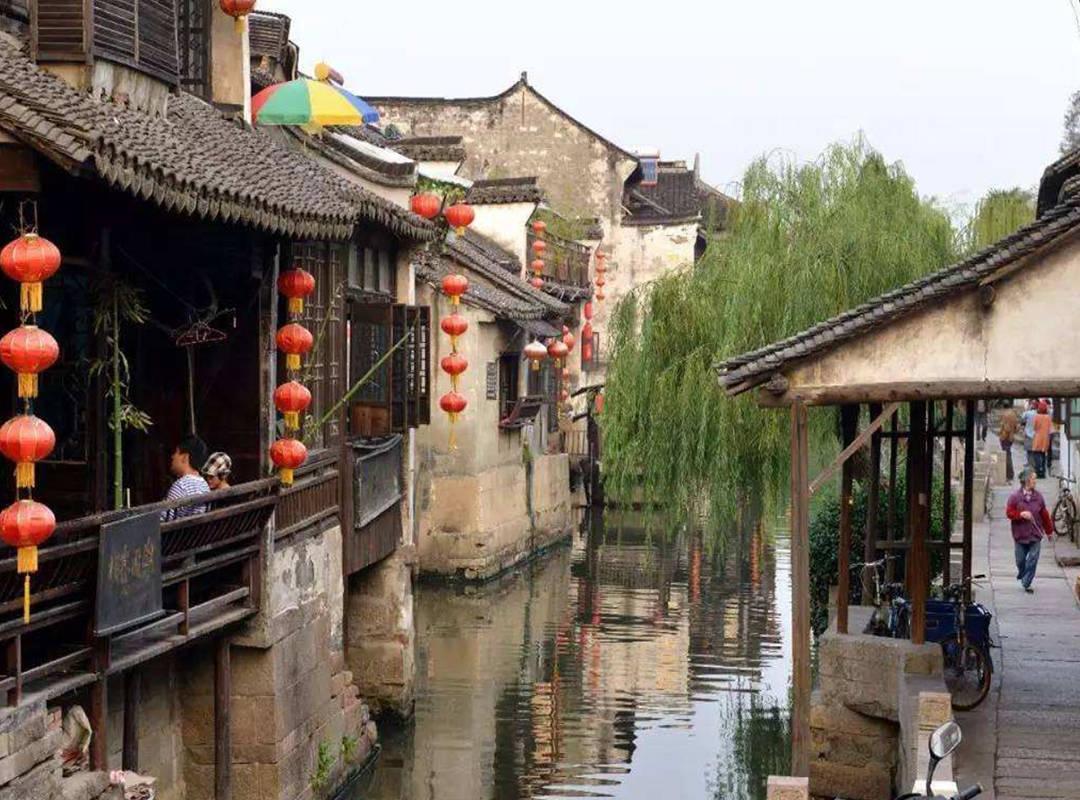 宠物美容师怎么考?报考难度大吗?含金量高吗?